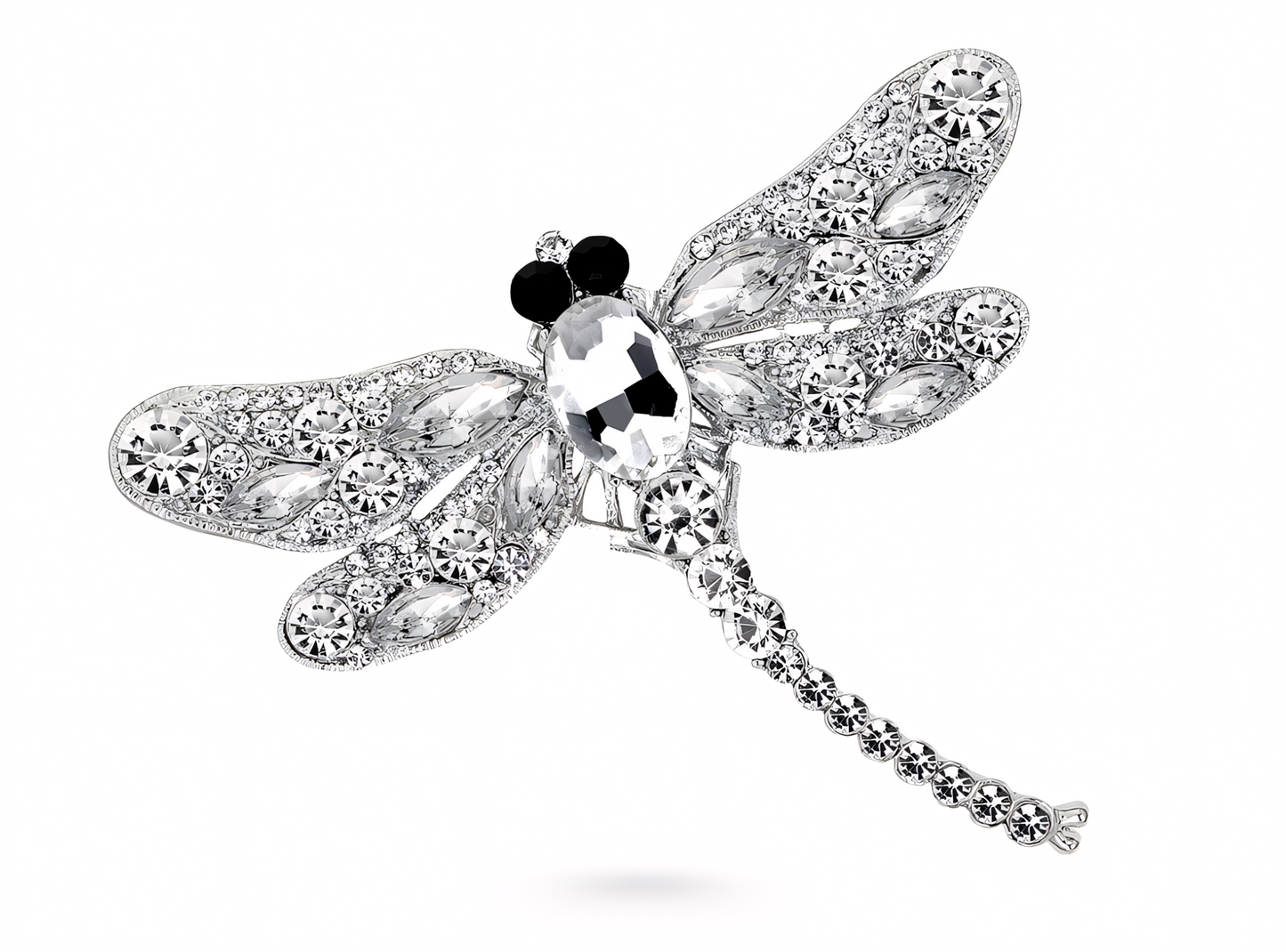 Iridescent Dragonfly Wings