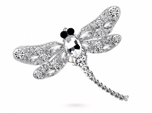 Iridescent Dragonfly Wings