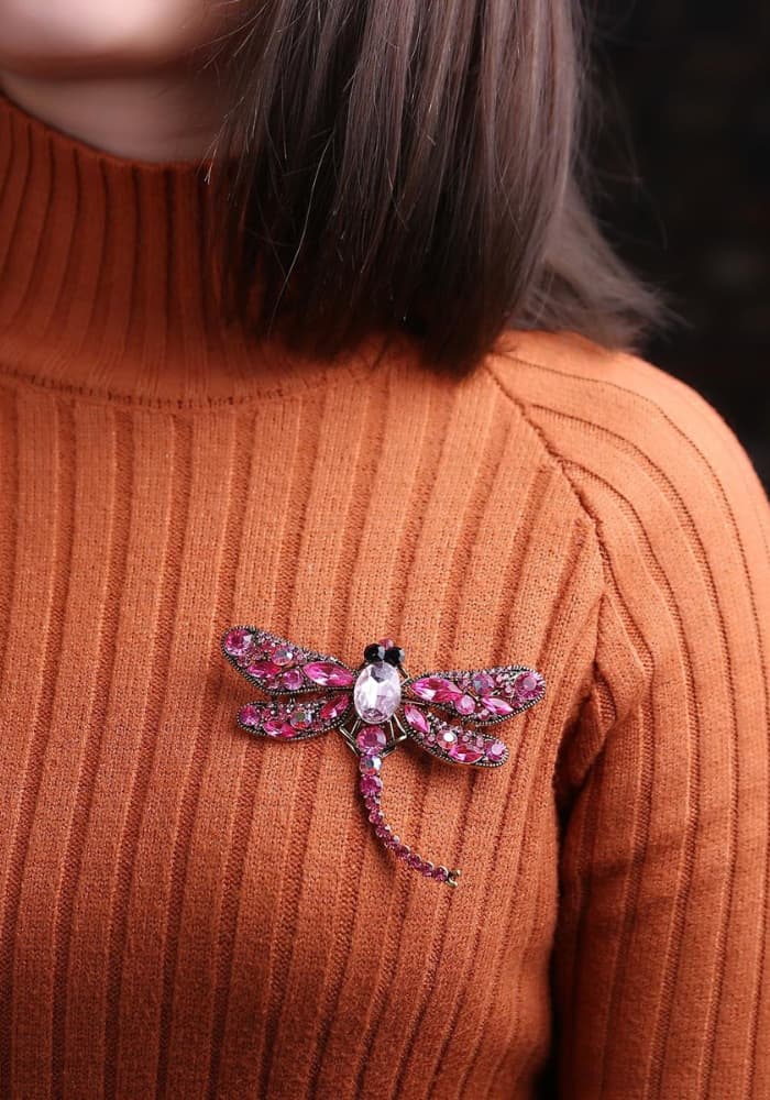 Iridescent Dragonfly Wings